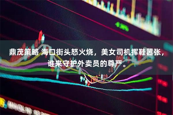 鼎茂策略 海口街头怒火烧，美女司机挥鞋嚣张，谁来守护外卖员的尊严。