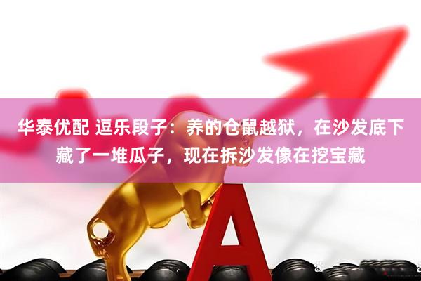 华泰优配 逗乐段子：养的仓鼠越狱，在沙发底下藏了一堆瓜子，现在拆沙发像在挖宝藏