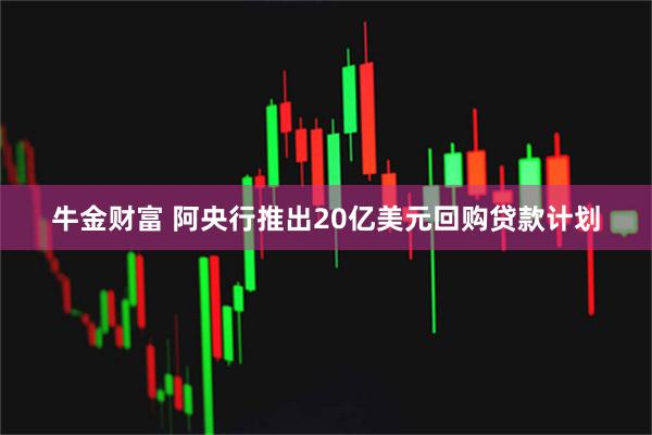 牛金财富 阿央行推出20亿美元回购贷款计划
