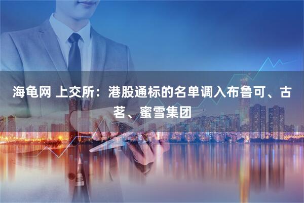 海龟网 上交所：港股通标的名单调入布鲁可、古茗、蜜雪集团