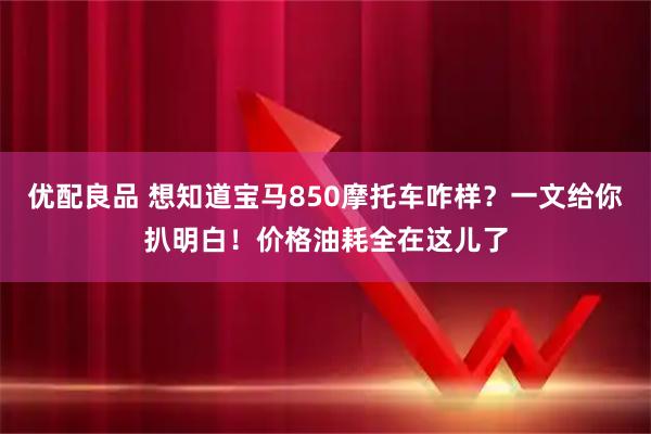 优配良品 想知道宝马850摩托车咋样？一文给你扒明白！价格油耗全在这儿了